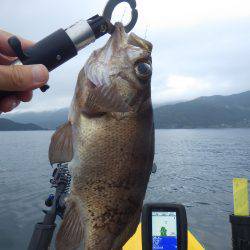 カヤックジギング